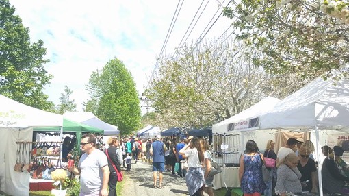 15095573 1388679221165767 7813824763505126515 n